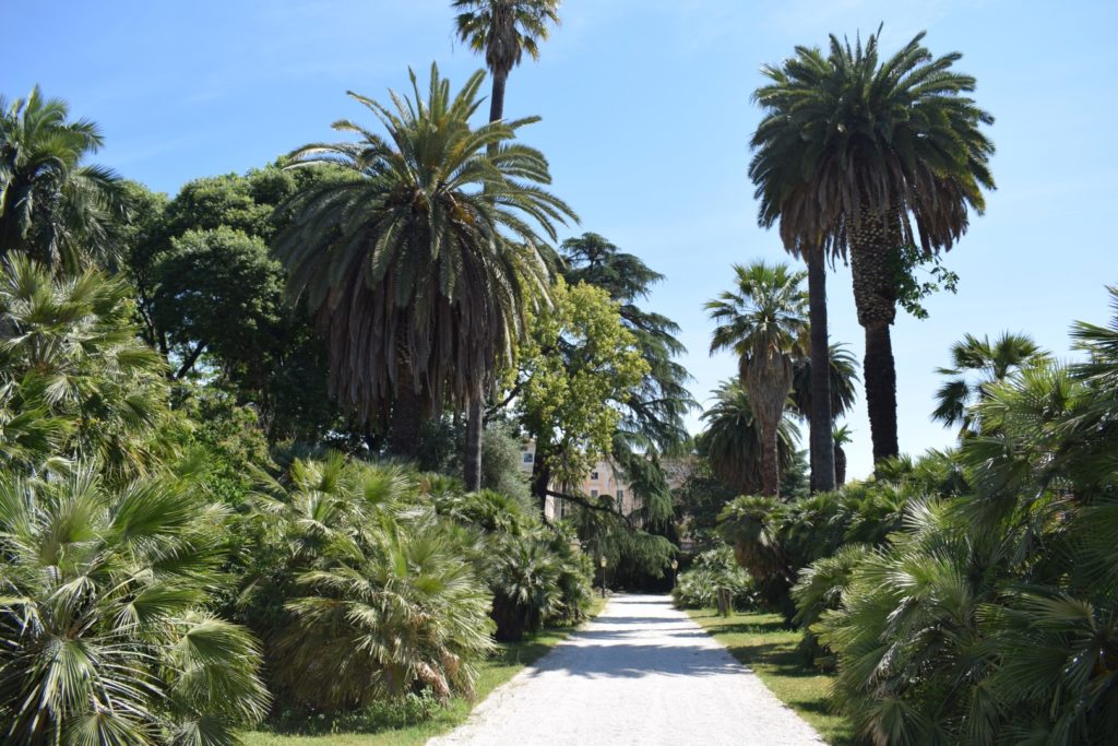 Alla Scoperta dell’Orto Botanico di Roma