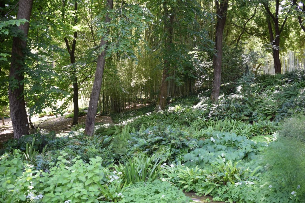 Alla Scoperta dell’Orto Botanico di Roma