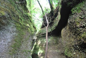 La necropoli del Maschio d’Ariano e il Castello: tra tombe ruderi storia e leggenda.