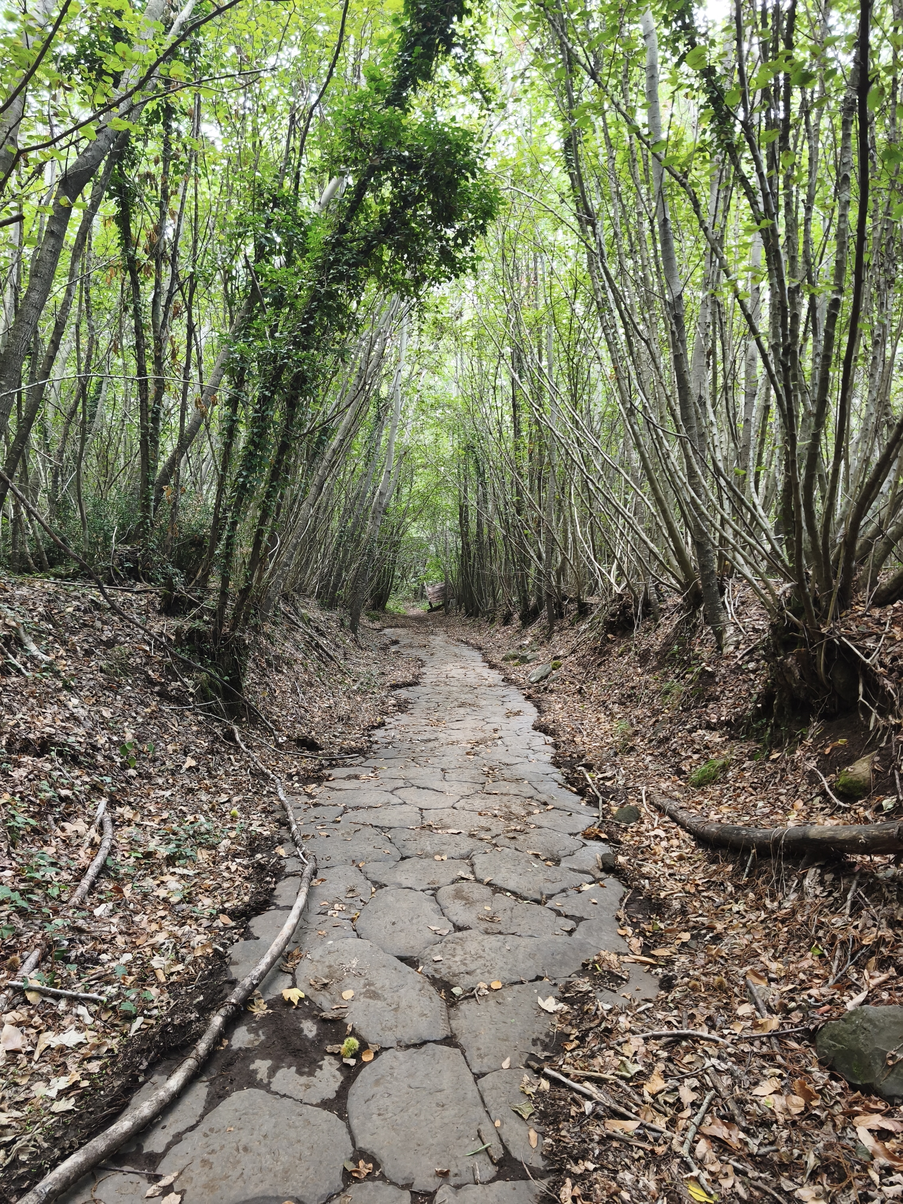Trekking Via Sacra e Museo diffuso.