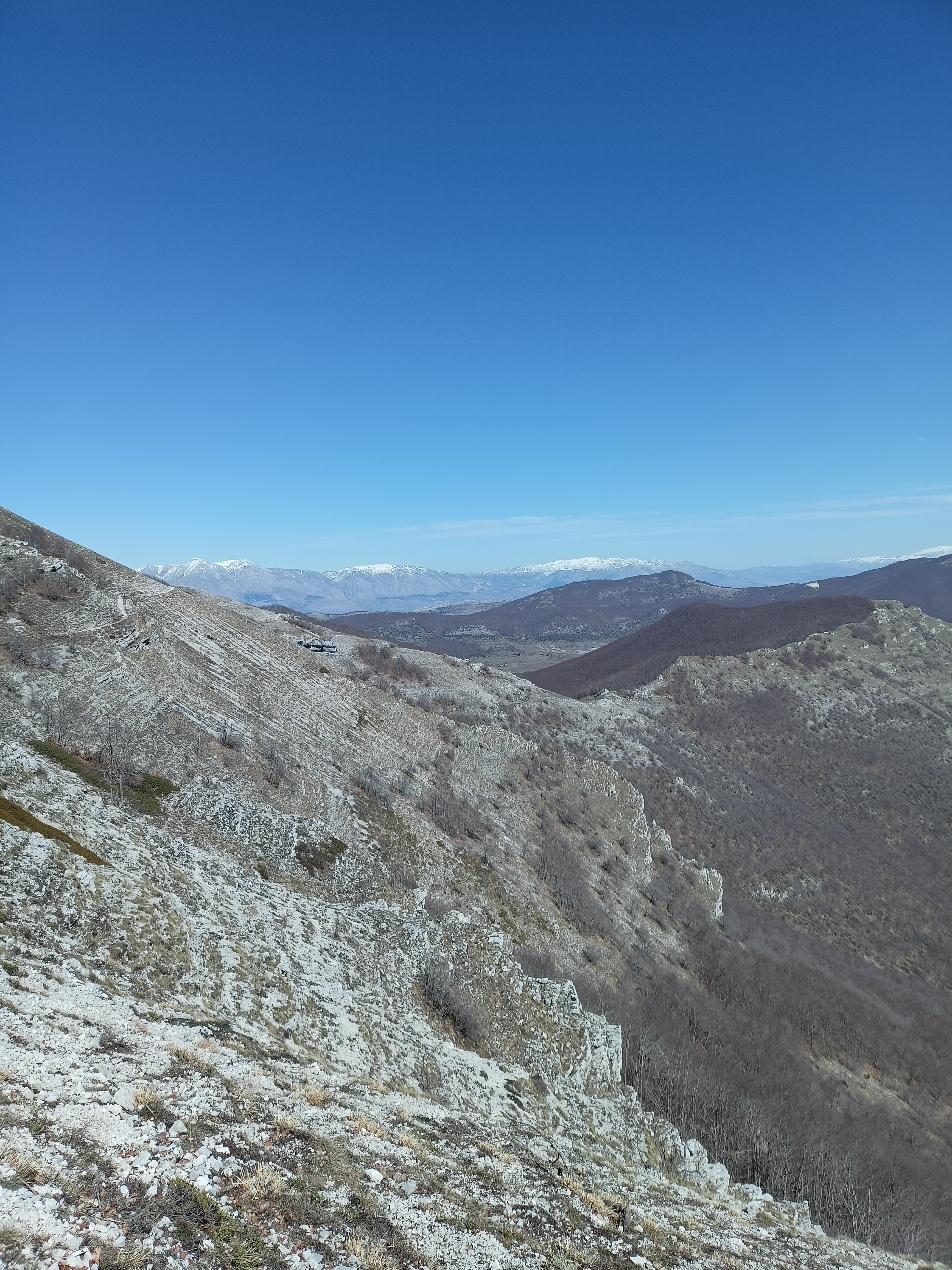 LA VALLE DEL MONTE AUTORE
