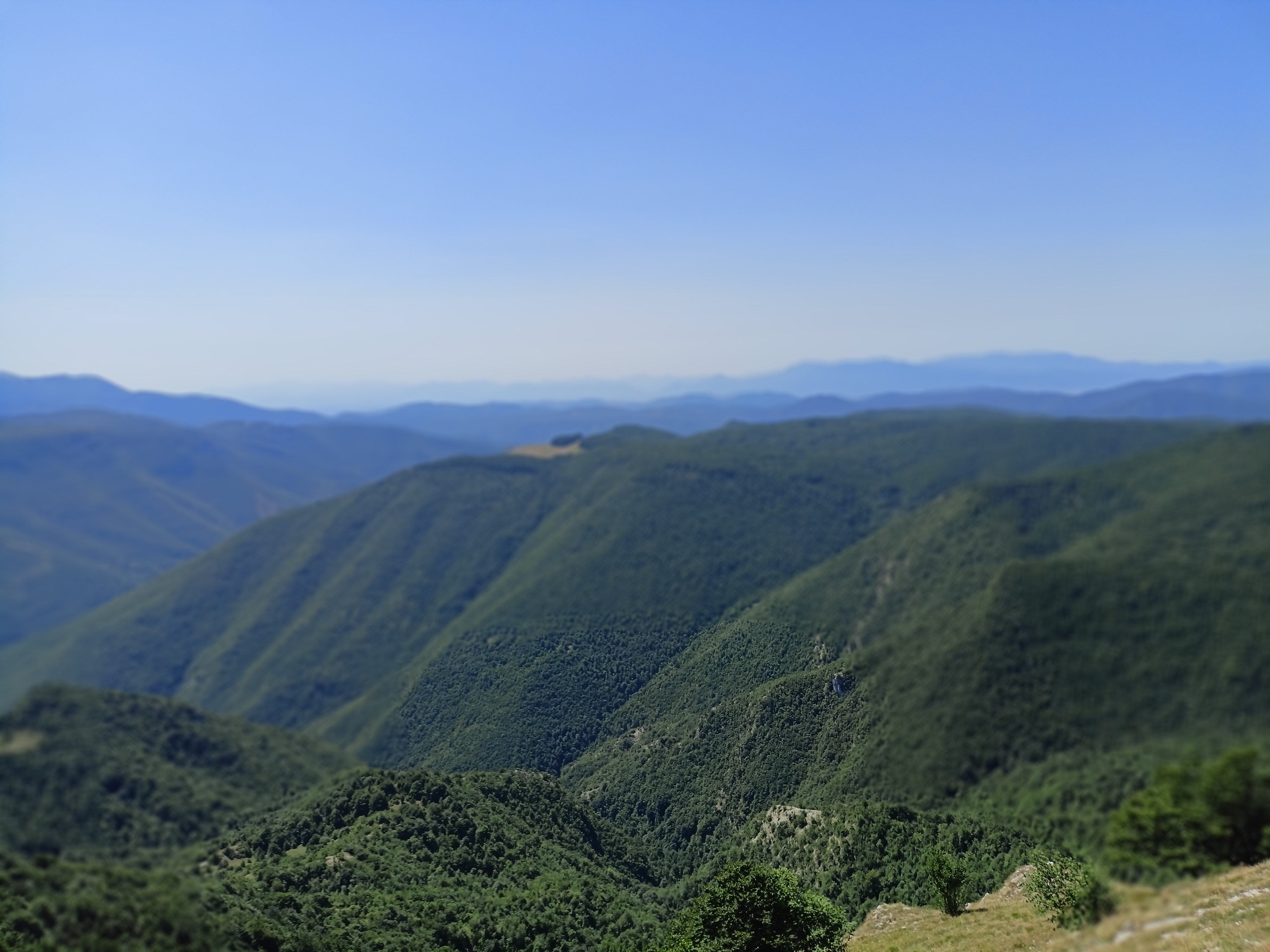 LA VALLE DEL MONTE AUTORE