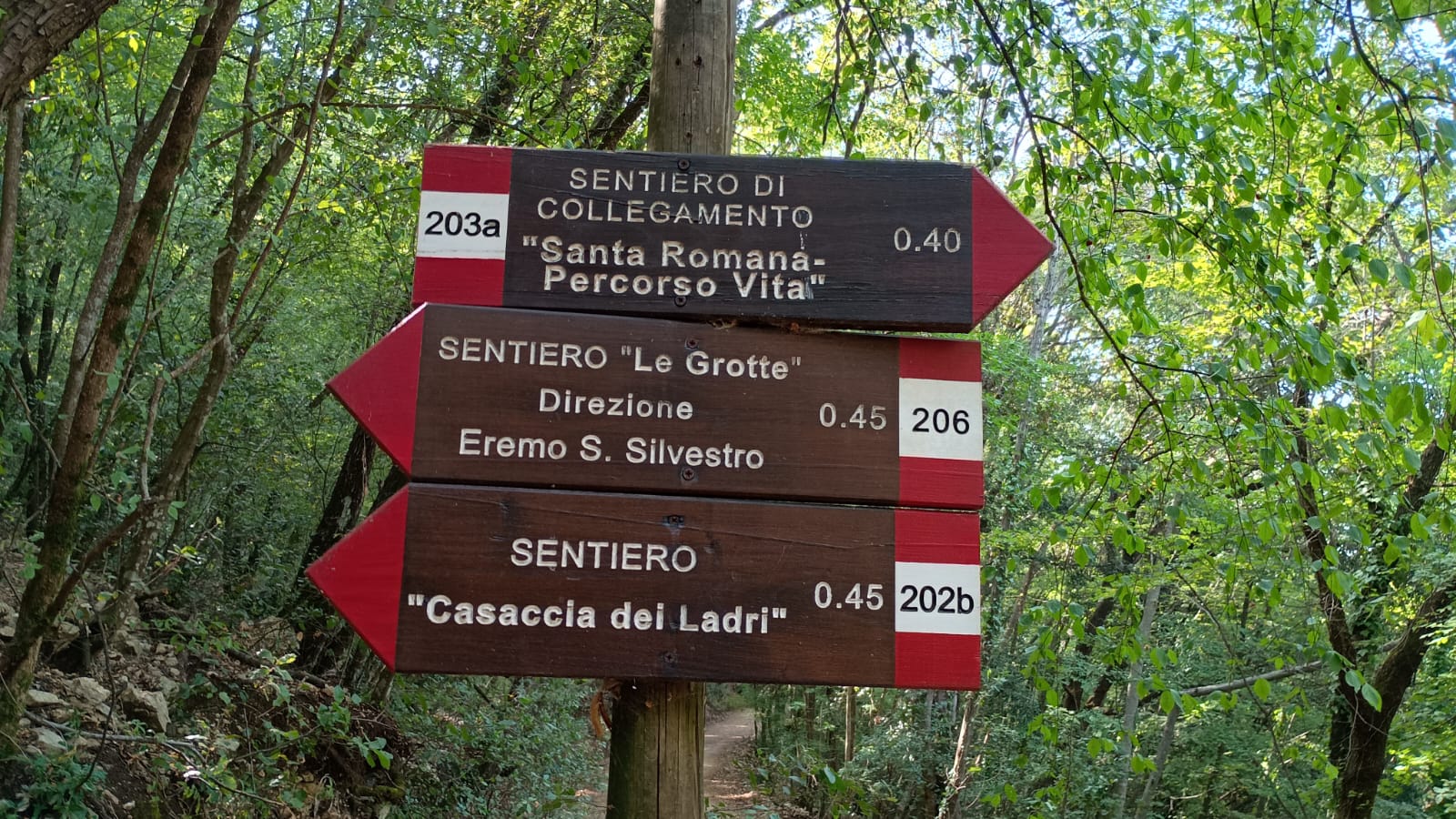 Monte Soratte: il percorso degli Eremi