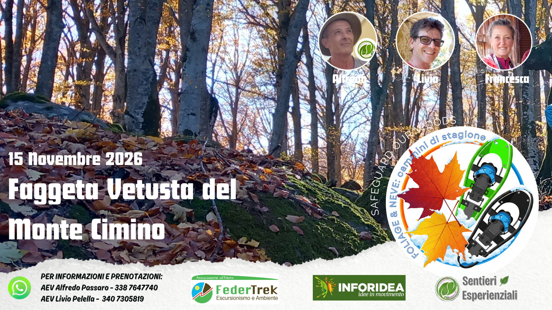 UN BOSCO MILLENARIO, I COLORI DELL’AUTUNNO E LA MAGIA DEL MONTE CIMINO