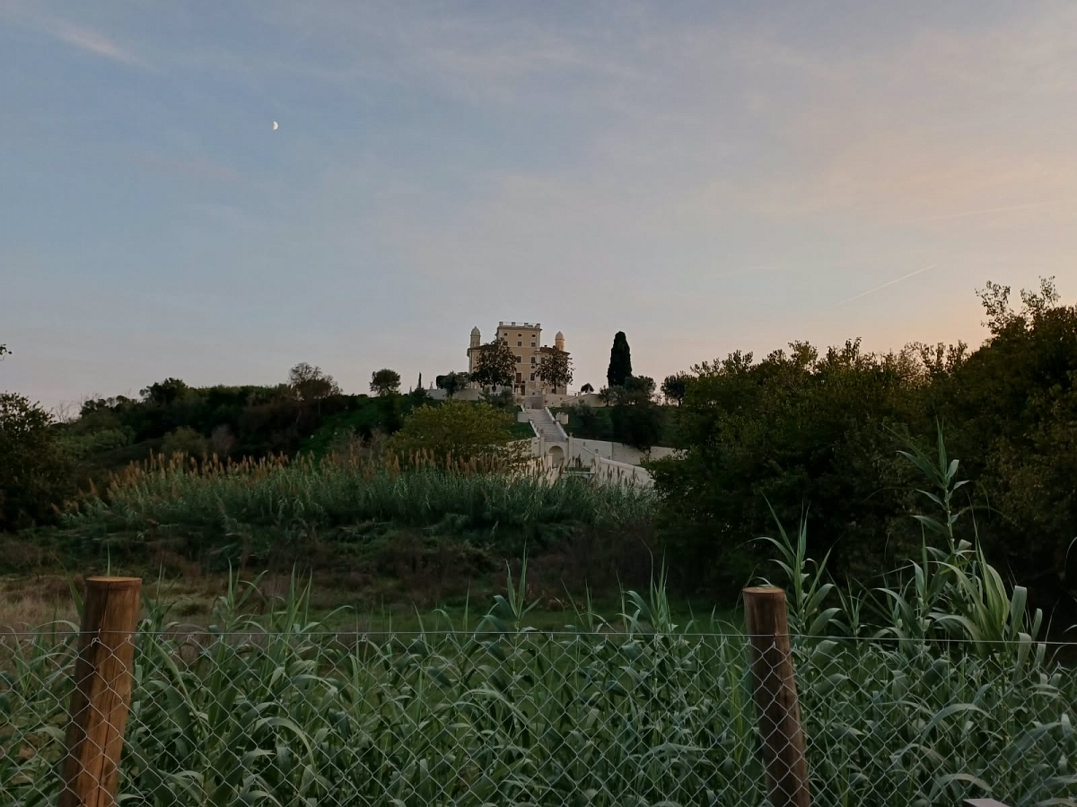 FORTI DELLA NOSTRA STORIA: un viaggio nel tempo tra le memorie del Forte Bravetta e le meraviglie della Valle dei Casali