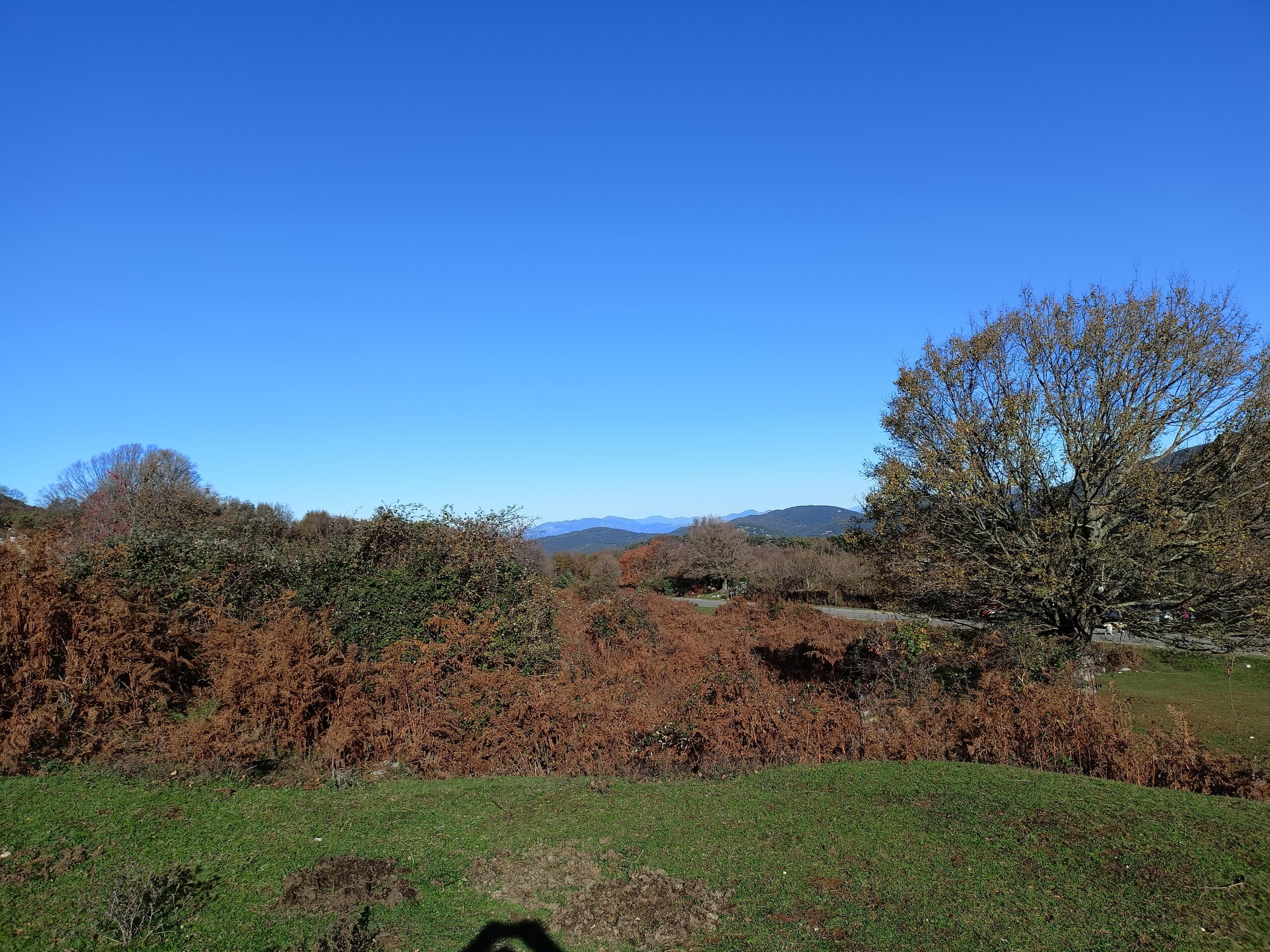 MONTE SEMPREVISA