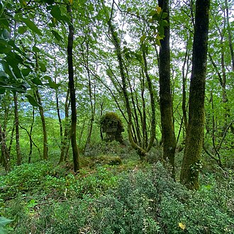 parco castelli romani